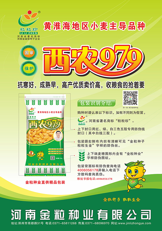 979海報